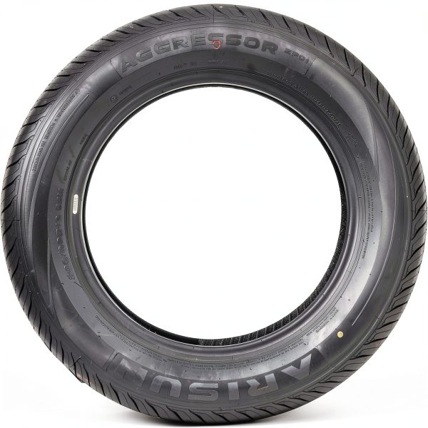 Arisun ZP01 205/60R16 Non-Directional Tires-2