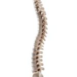 HealthPro Orthopedic Neurology Kindle eBook Guide to Spine Nerve Care-0