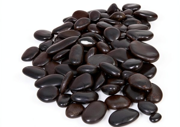 GASPRO 15lb Black River Rocks Polished Pebbles for Planters Garden-0