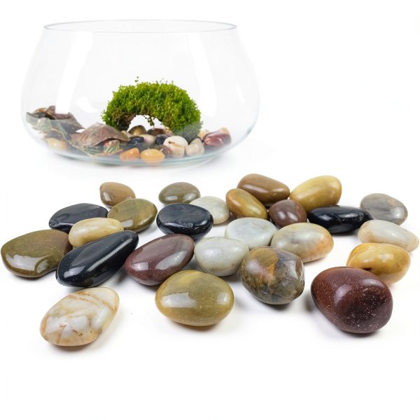 5LB Mixed Color River Rocks SHIZWU High Polished Pebbles 2-3 Inch-2