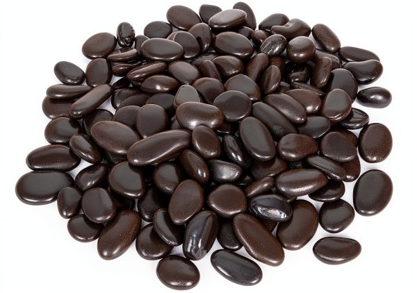 GASPRO 15lb Black River Rocks Polished Pebbles for Planters Garden-7