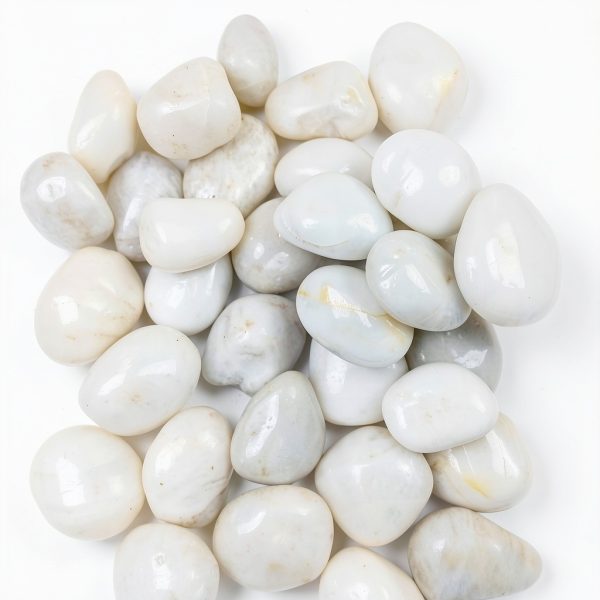 5 lbs White River Rocks, Polished Pebbles for Indoor Plants, 1-2 inch Decorative White Stones for Plants Vase Aquarium Fish Tank and Outdoor Garden Landscaping Rocks-0