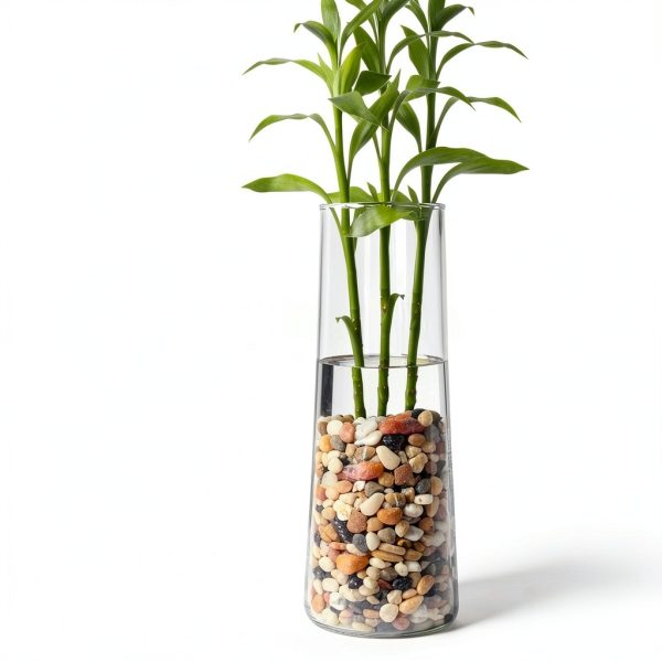 GASPRO 5lb Pebbles for Indoor Plants 3/8 Inch Polished Rocks-5