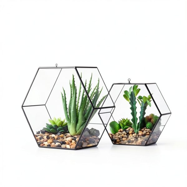 5 lbs Pebbles for Indoor Plants, Succulent, Bamboo, Vase, 3/8" Plant Rocks for Pots Indoor, Small River Rocks Decorative Pea Gravel, Highly Polished-4