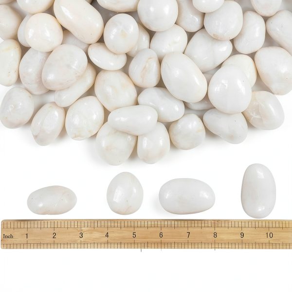 5lbs White River Rocks, 1-2 Inch Natural Pebbles for Indoor Plants, High Polished Decorative Stones Vase Filler Fish Tank Aquariums Landscaping Garden Outdoor and Indoor DIY-1