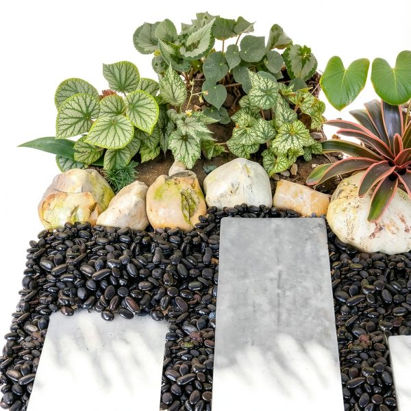 GASPRO 15lb Black River Rocks Polished Pebbles for Planters Garden-5