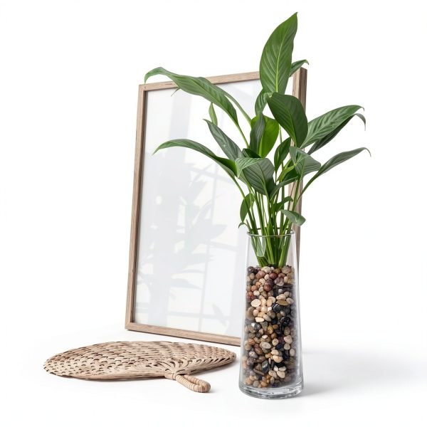 5 lbs Pebbles for Indoor Plants, Succulent, Bamboo, Vase, 3/8" Plant Rocks for Pots Indoor, Small River Rocks Decorative Pea Gravel, Highly Polished-5